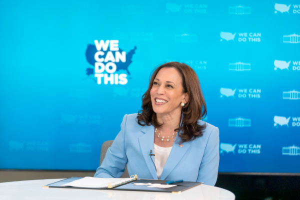 Prediction: These 3 Stocks Will Soar If Kamala Harris Wins in November