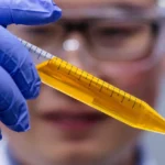 Yellow Food Dye Found in Chips and Candy Corn Turns Skin Transparent in Mice, Study Says