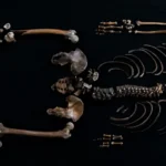 Scientists Say Skeletal Remains Found in Castle Well Belong to Figure from 800-Year-Old Saga