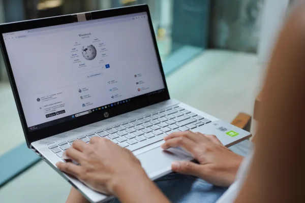 The most popular Wikipedia pages of 2024