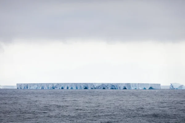 World’s Largest Iceberg Threatens South Atlantic Island