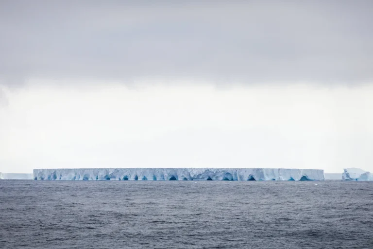 World’s Largest Iceberg Threatens South Atlantic Island