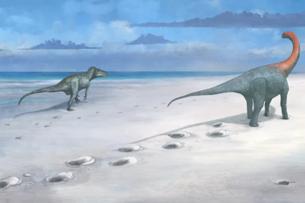 Unveiling a ‘Dinosaur Highway’: A Glimpse into Jurassic Life