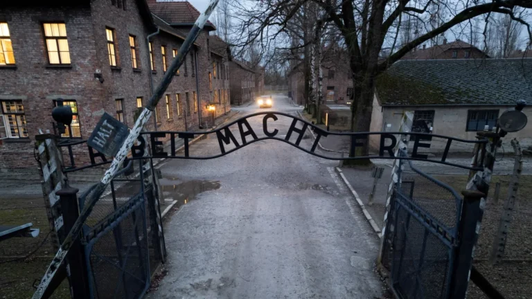 Survivors Reflect on 80 Years Since Auschwitz Liberation